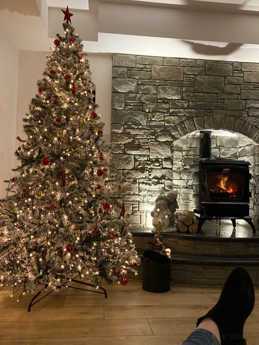 Christmas Tree for SALE