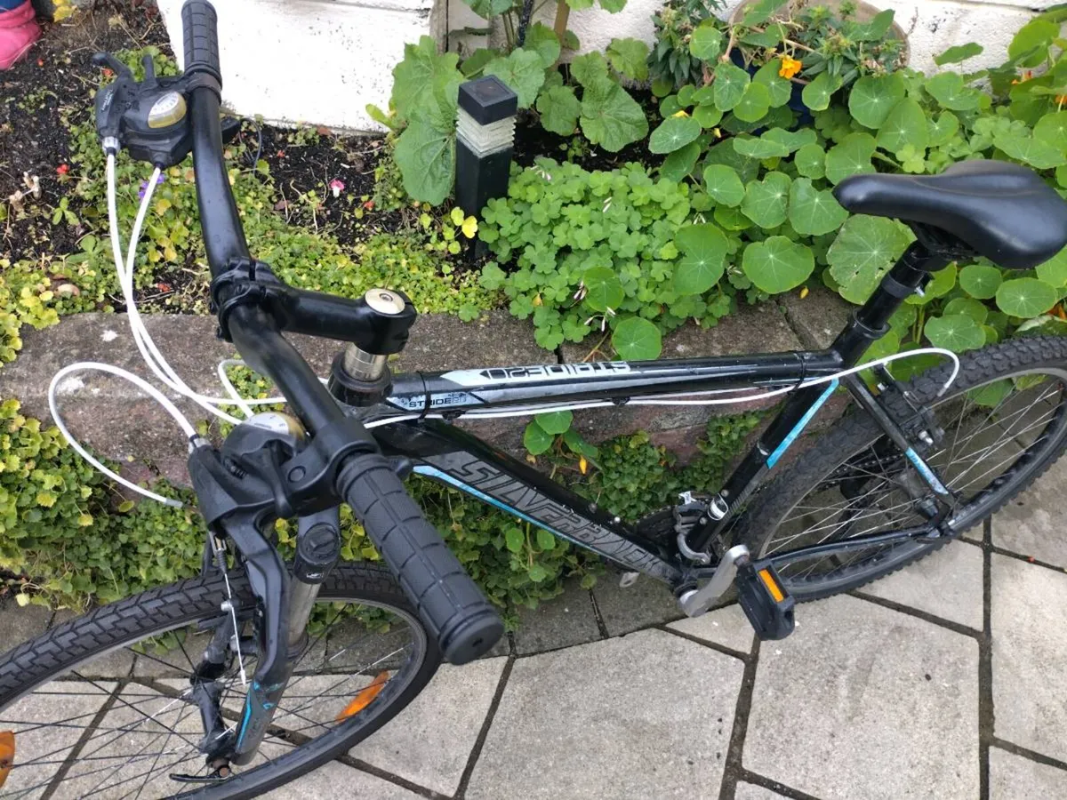 Bike - Image 1