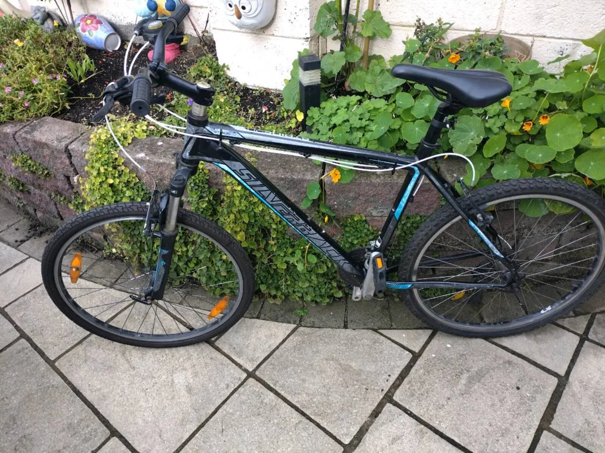 Bike - Image 2