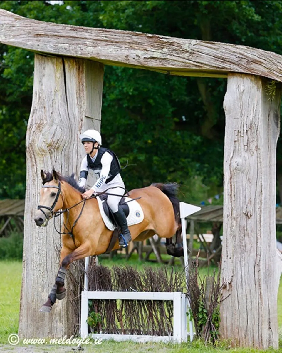 148 Connie type Sports Pony - Image 3