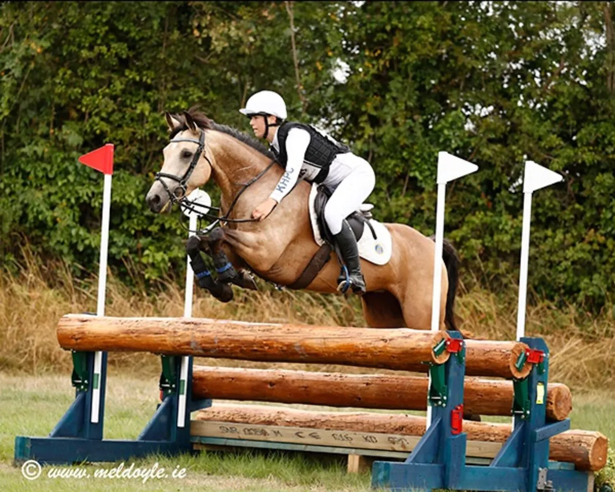 148 Connie type Sports Pony - Image 1
