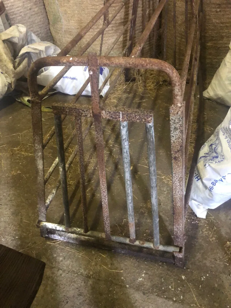 Pig farrowing  crate - Image 1