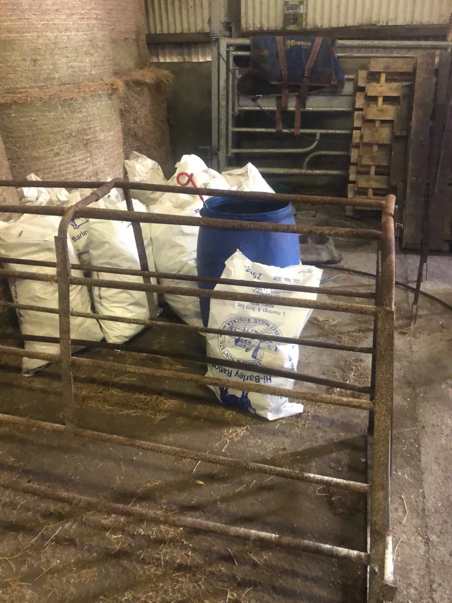 Pig farrowing  crate - Image 2