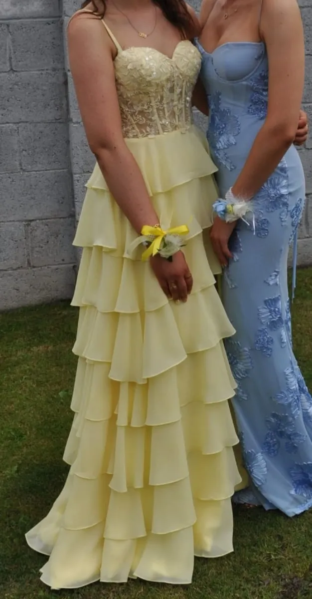 Debs / TY ball dress - Image 1