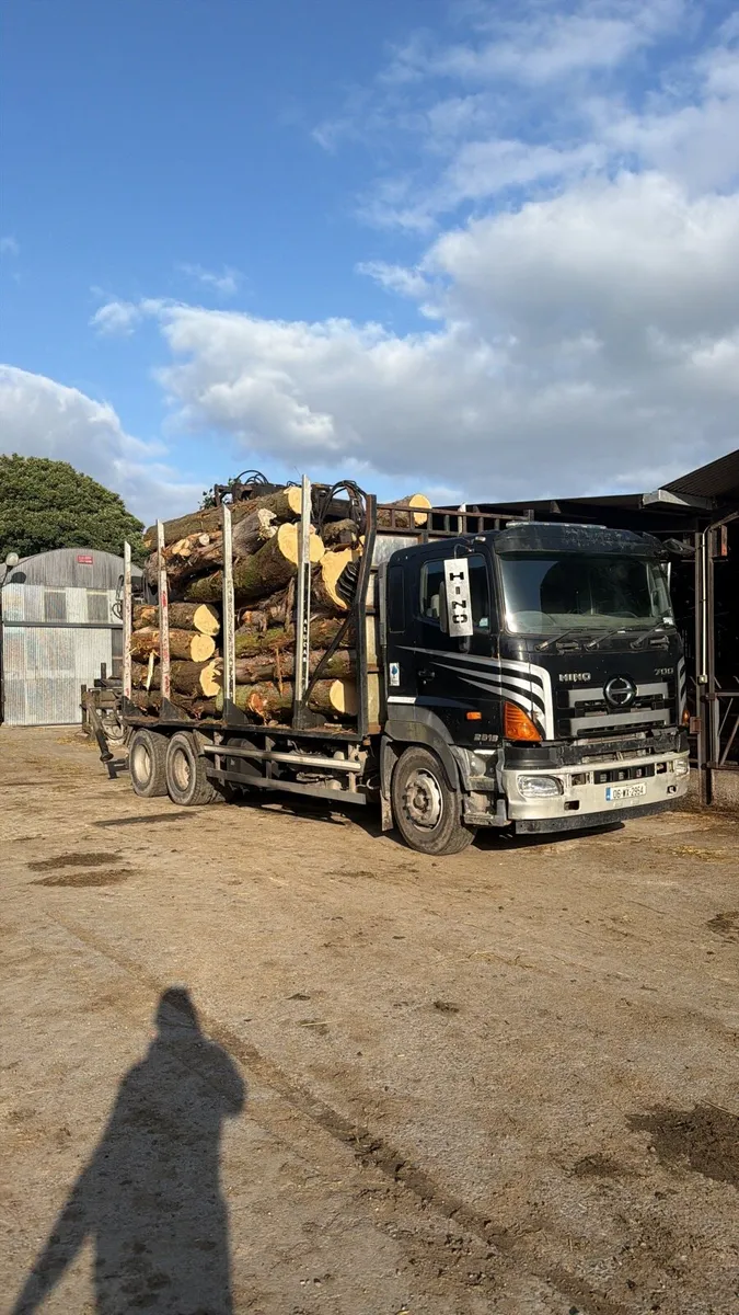 Hino 700 - Image 2