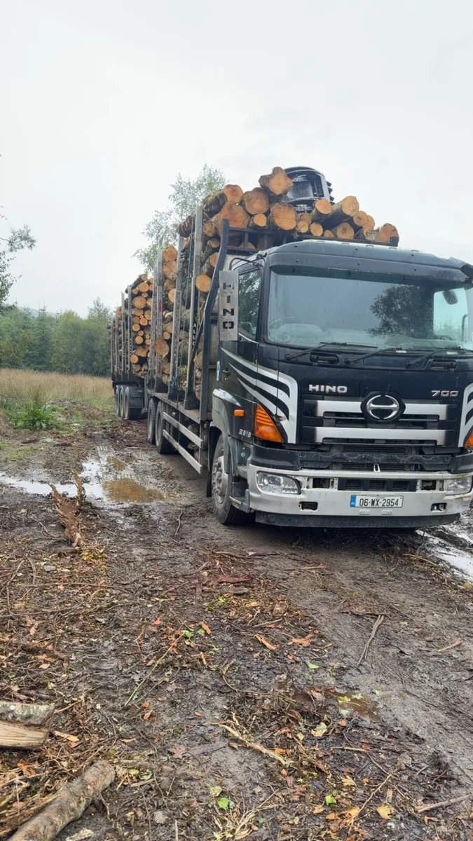 Hino 700 - Image 3