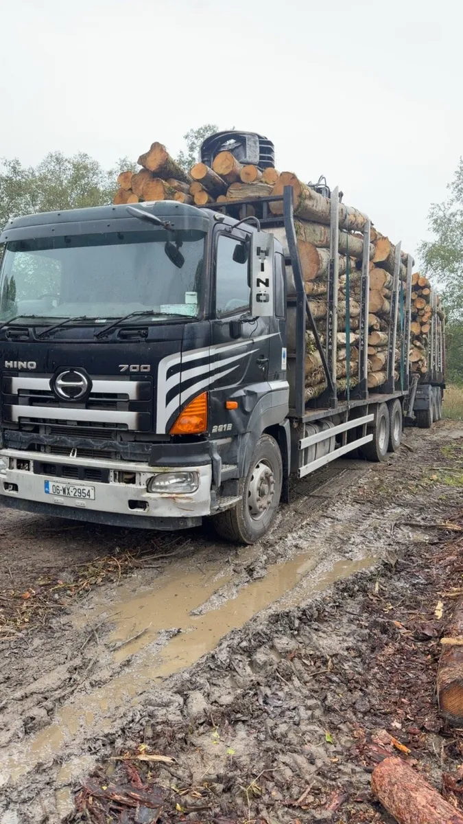 Hino 700 - Image 1