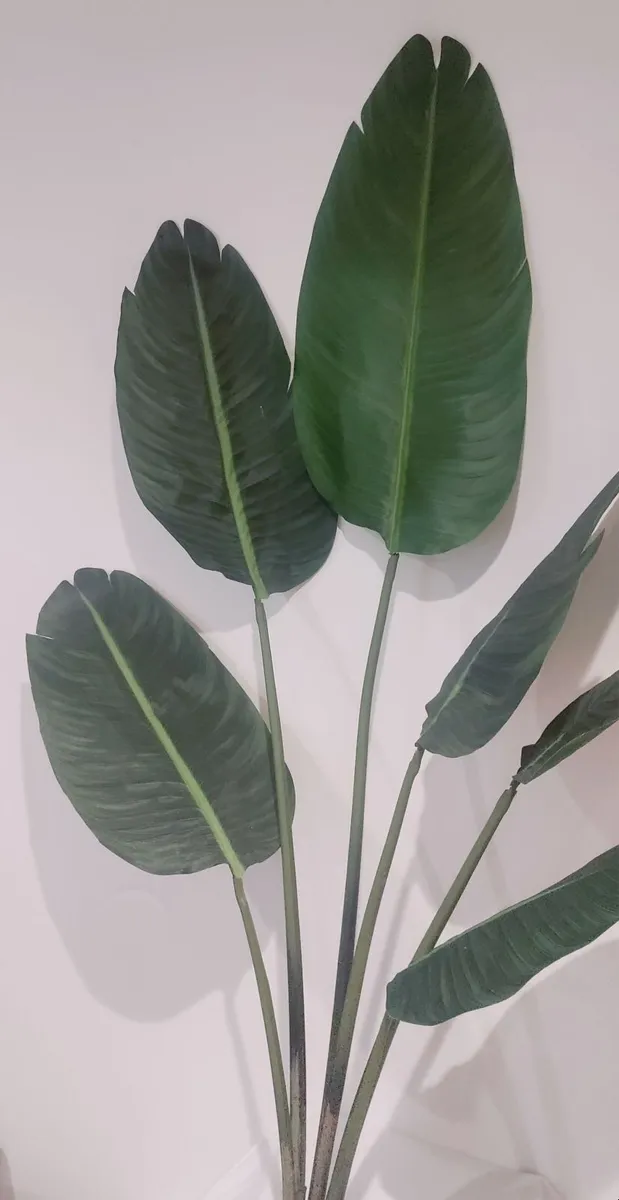 Tall Faux Bird of Paradise Indoor Plant – High-Qua - Image 3
