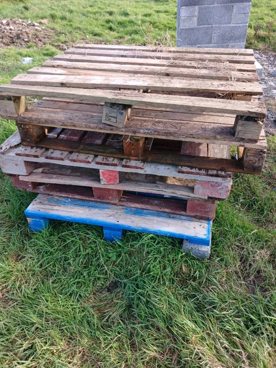 Pallets - Image 3