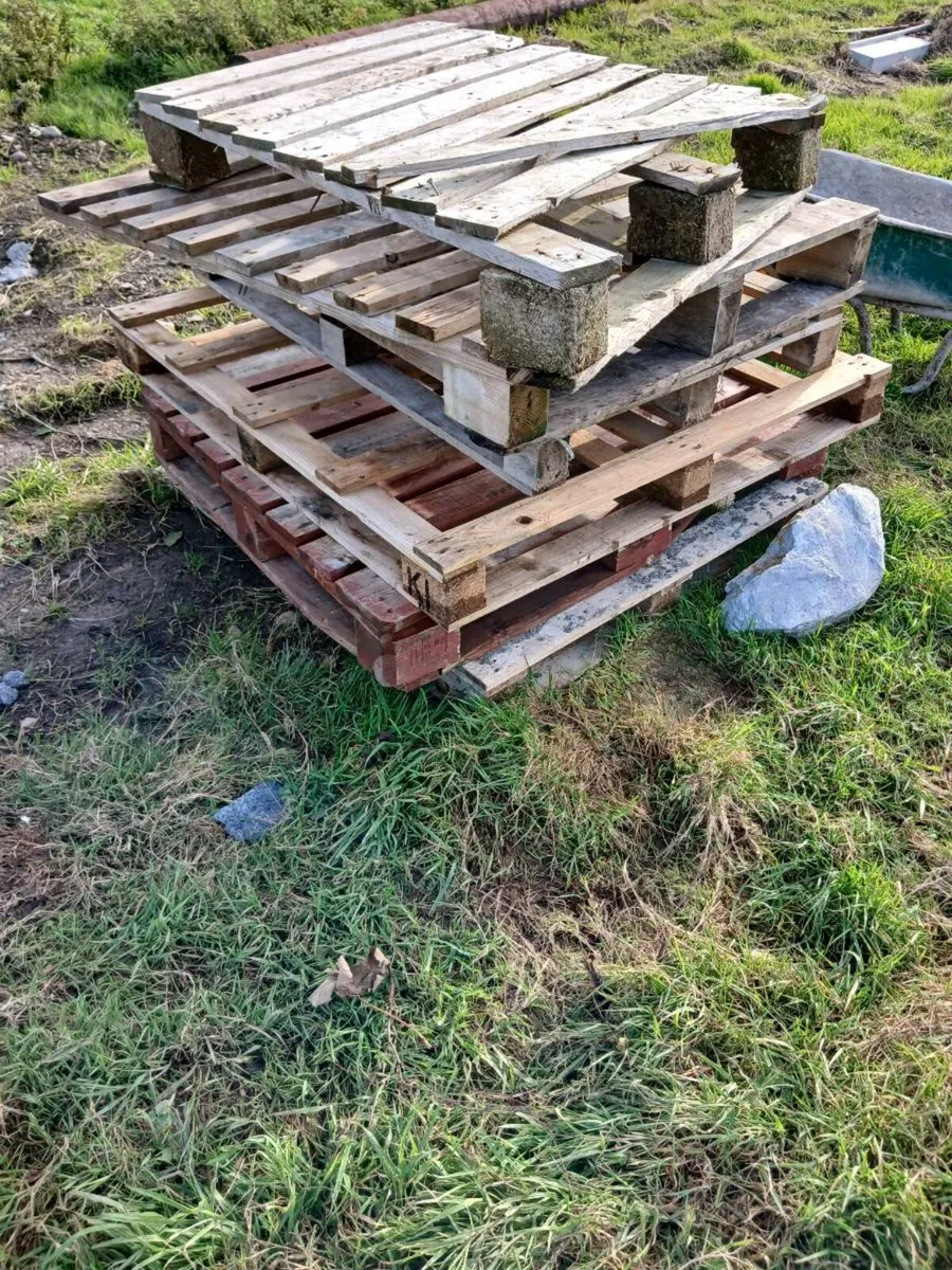 Pallets - Image 4