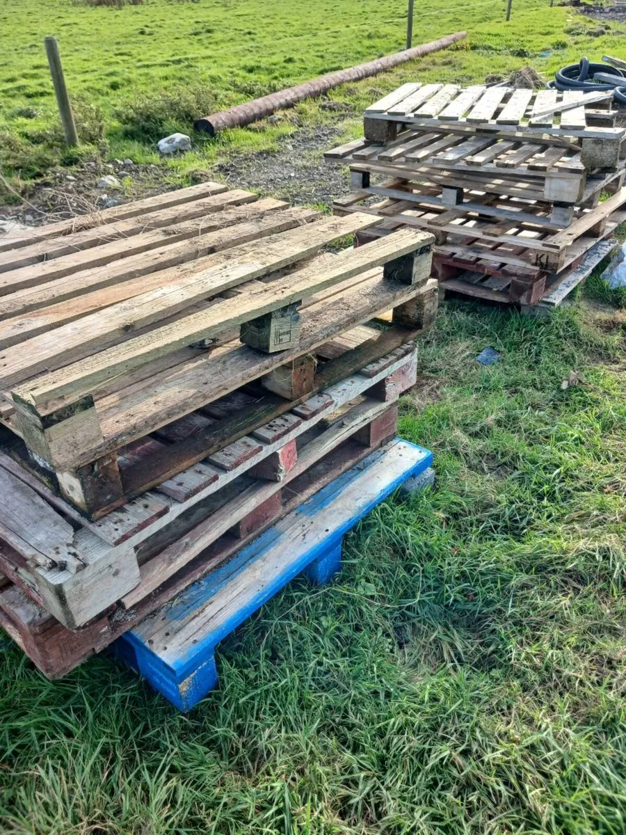 Pallets - Image 1