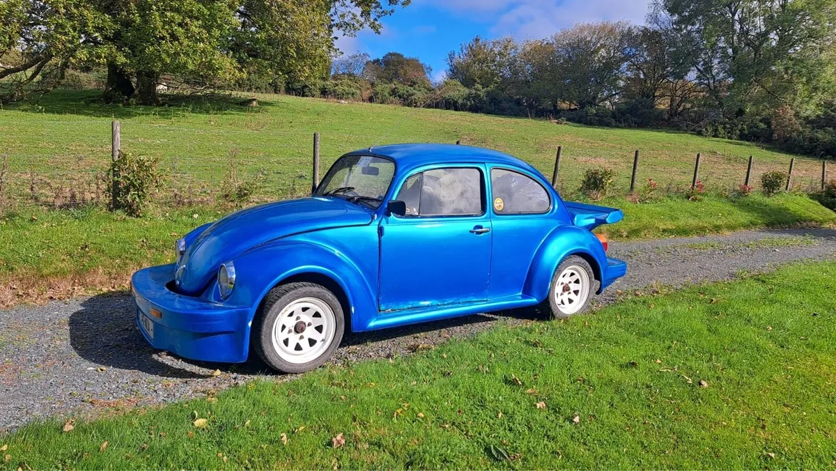 VW Beetle - Image 1