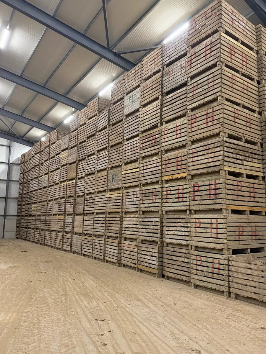 Potato boxes