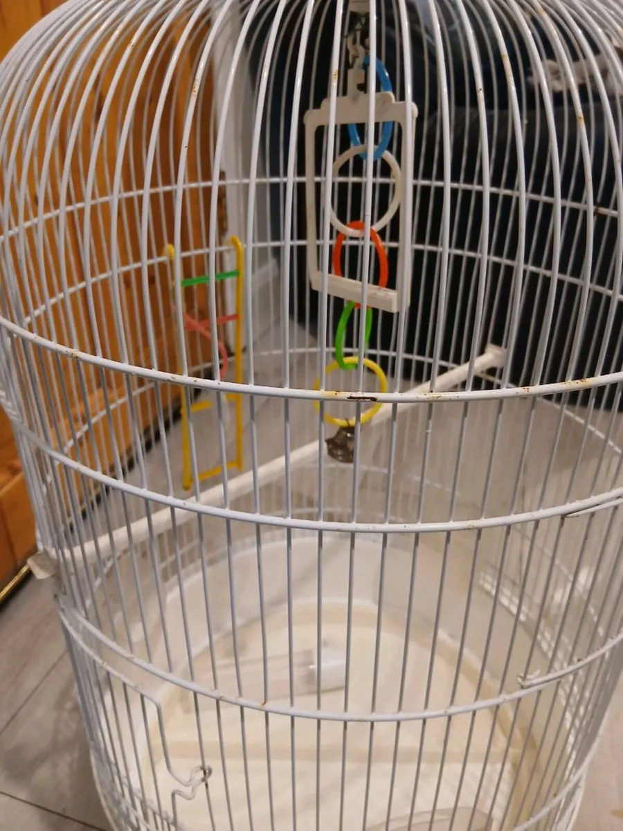 Large Birdcage - Image 2