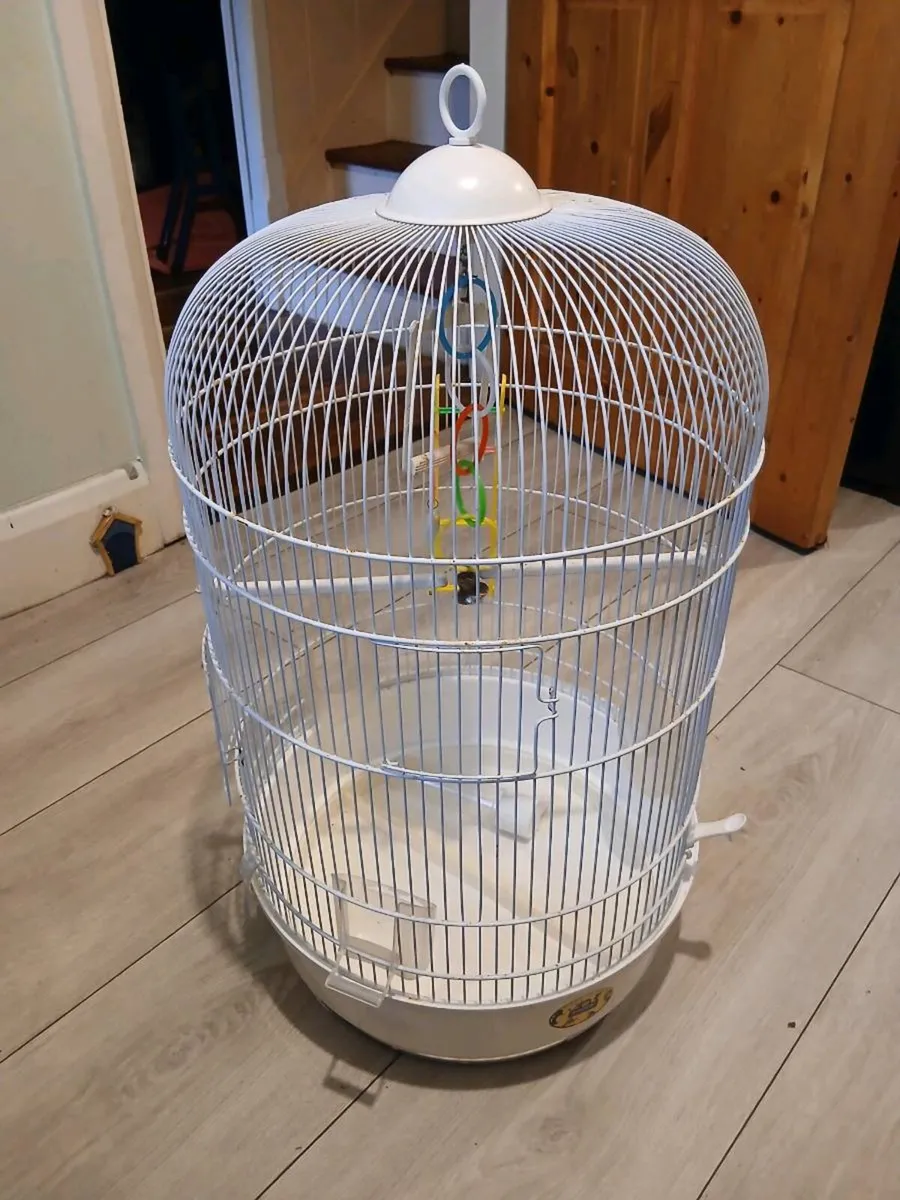 Large Birdcage - Image 4