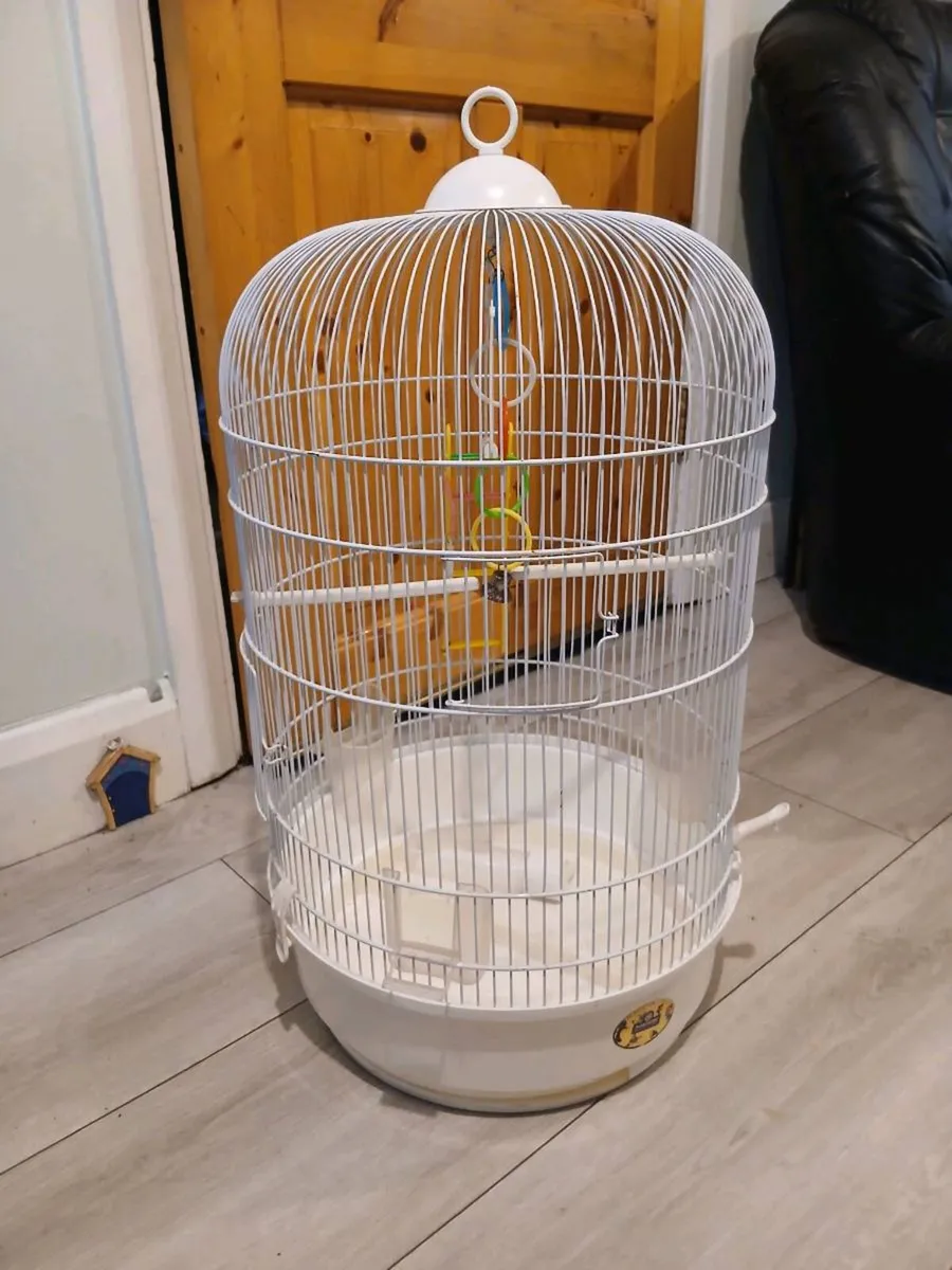 Large Birdcage - Image 1