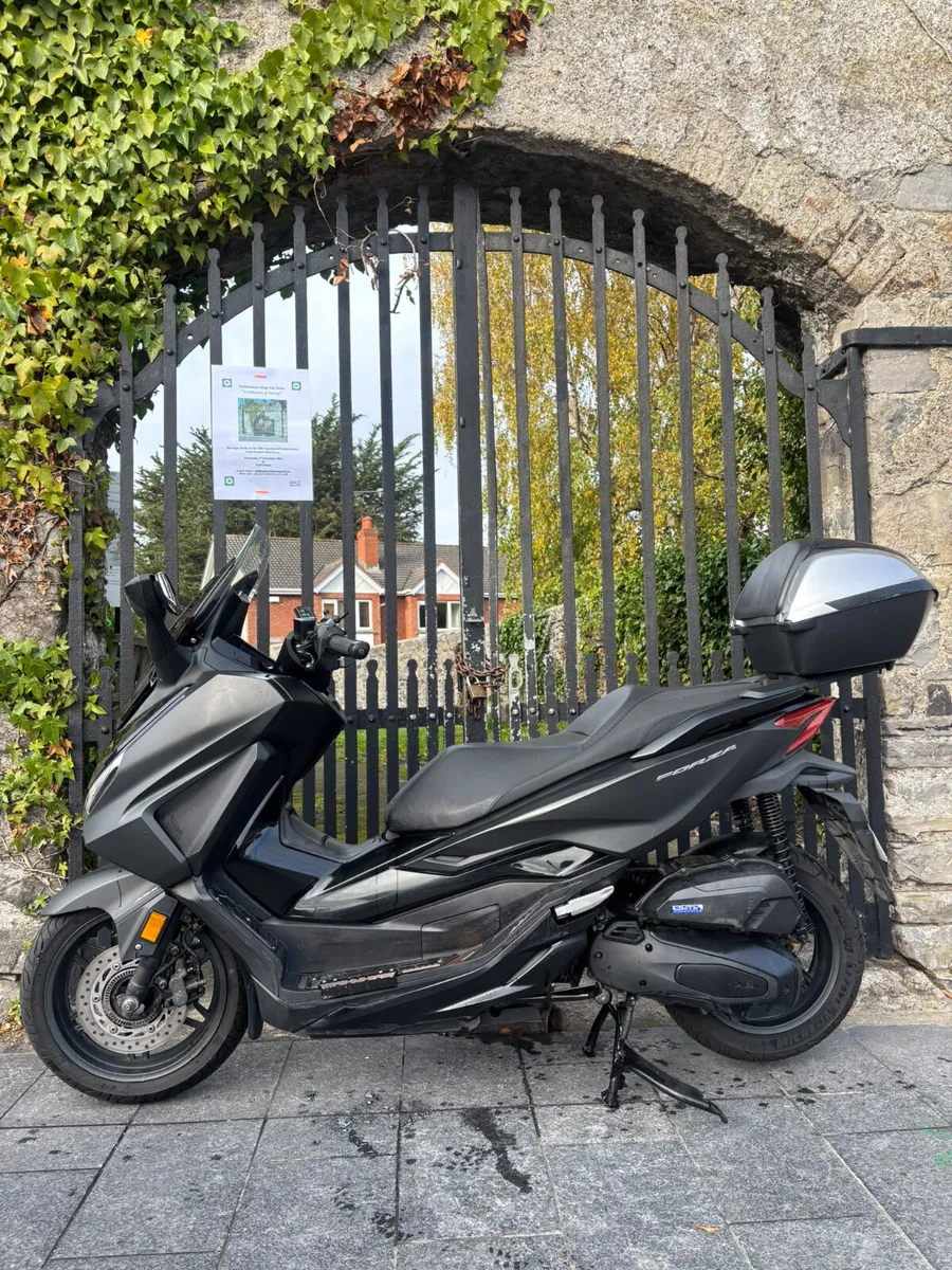 2023 HONDA FORZA 125 MOTO4U - Image 2