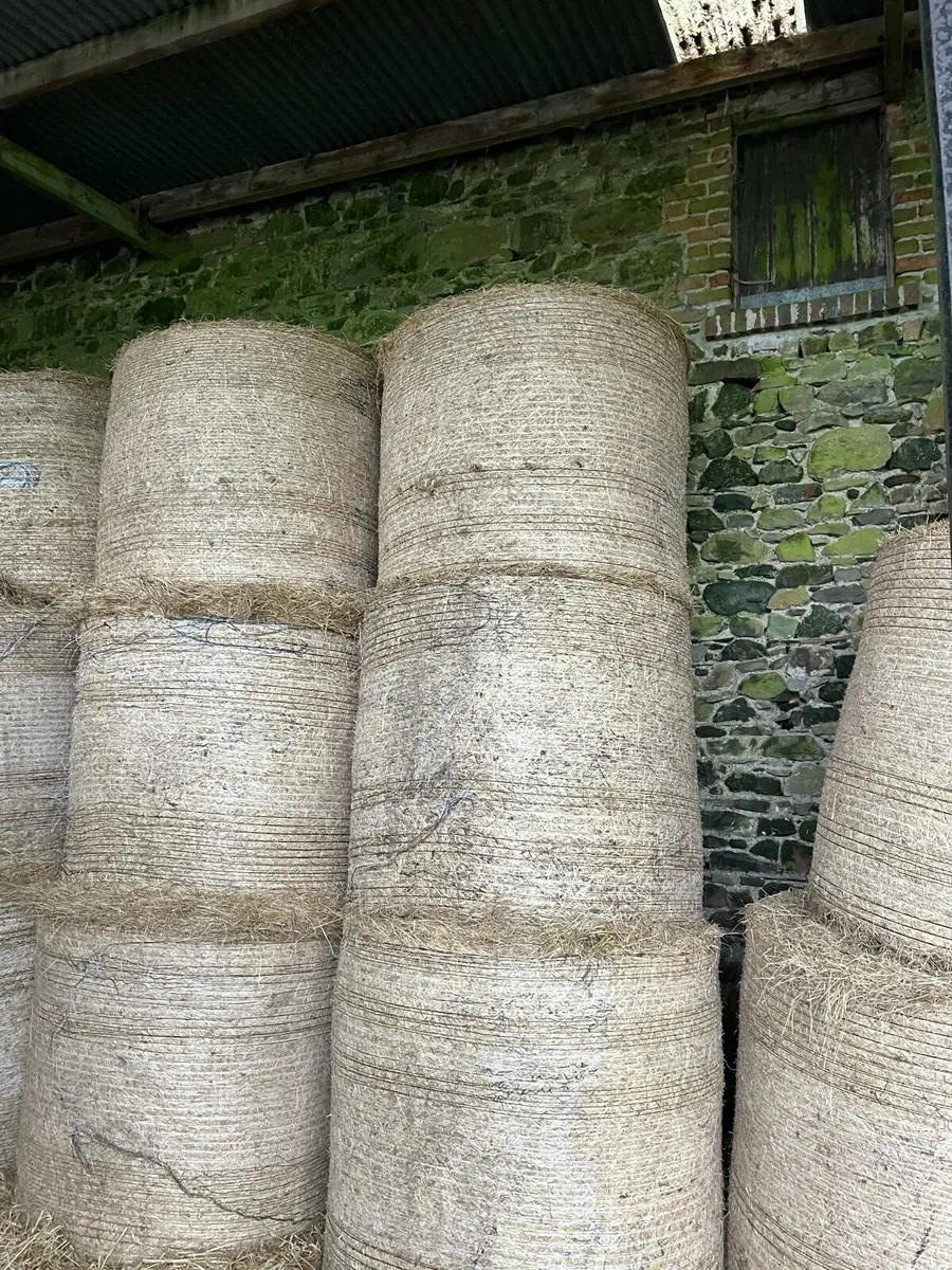 Hay