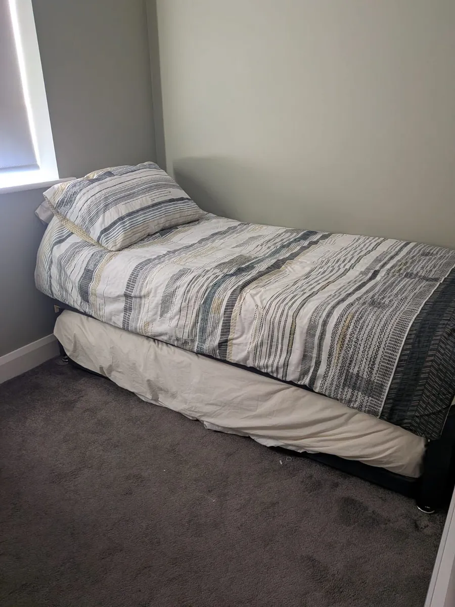 Guest bed with pull out trundle - w.matresses - Image 1