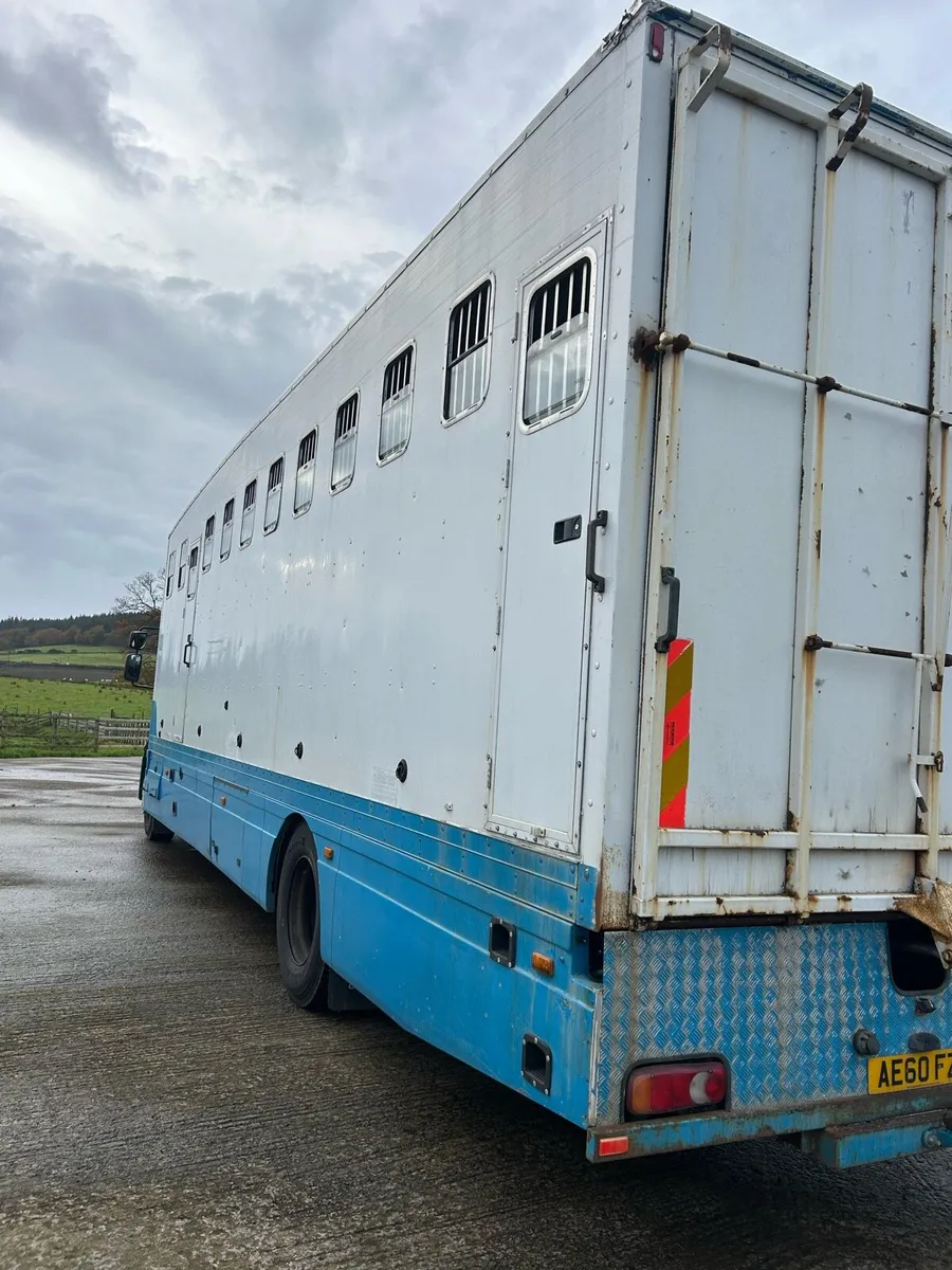 Horse lorry - Image 3