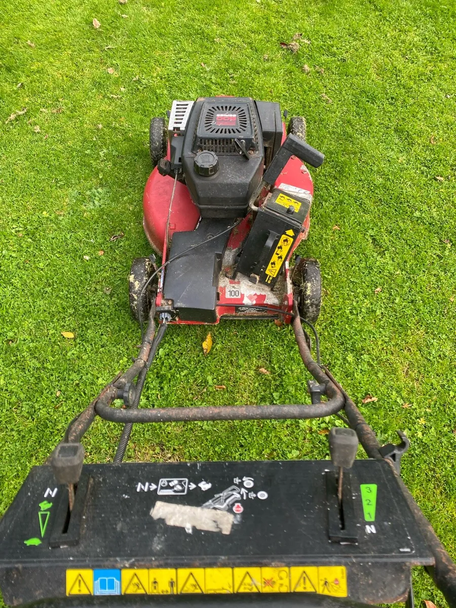 Lawnmower I - Image 3