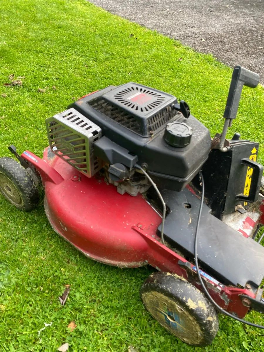 Lawnmower I - Image 2