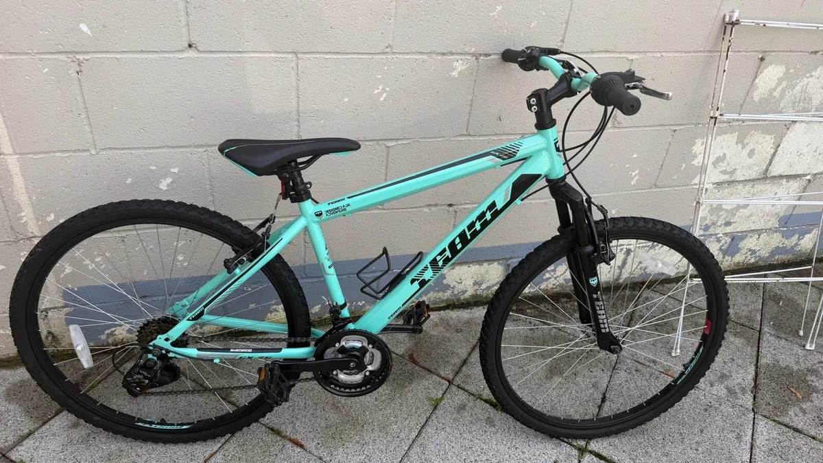 Turquoise Girls  Mountain Bike - Image 2