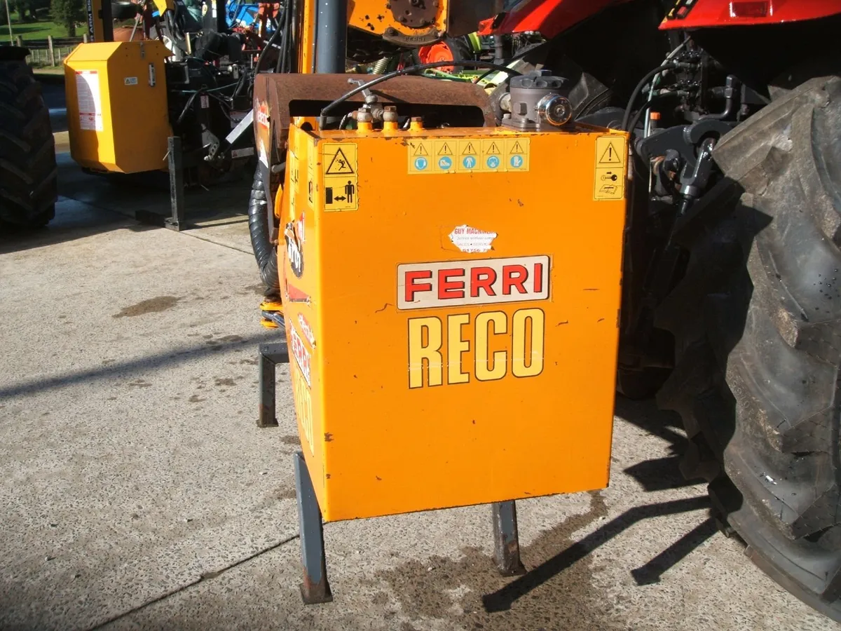 2007 Reco Ferri P6.1 hedge cutter - Image 4