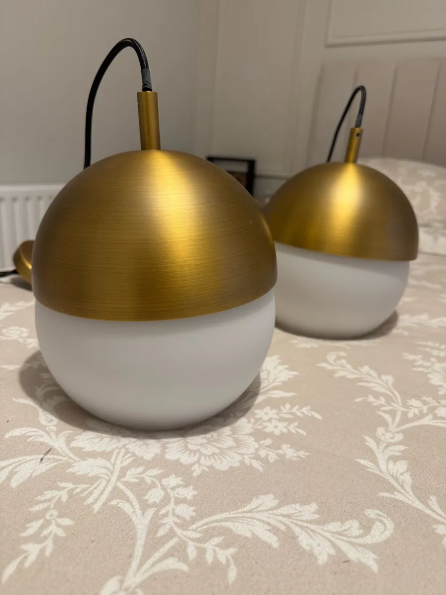 Pendant Ceiling Light - Image 4