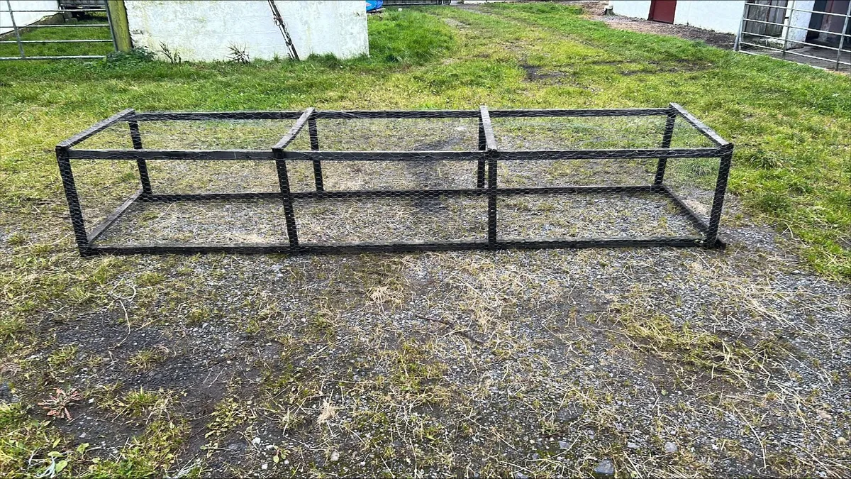 Chicken Coup