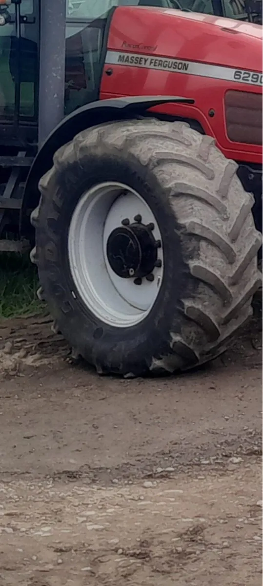 Massey Ferguson front rims - Image 1