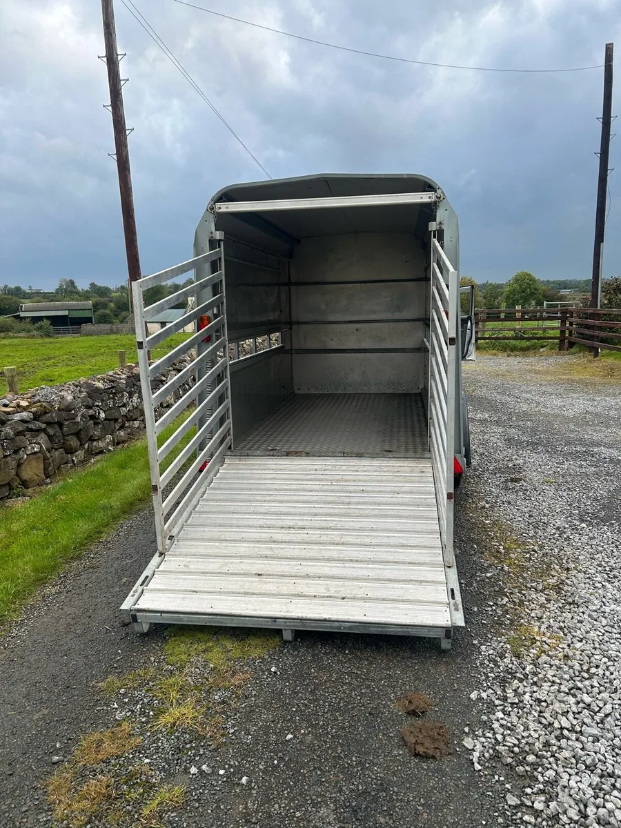 IFor Williams Trailer 10 FT x 5 FT - Image 1