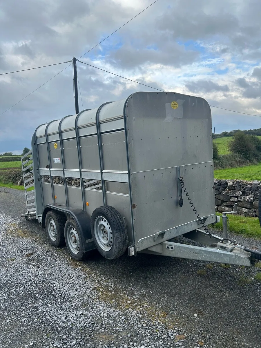 IFor Williams Trailer 10 FT x 5 FT - Image 3