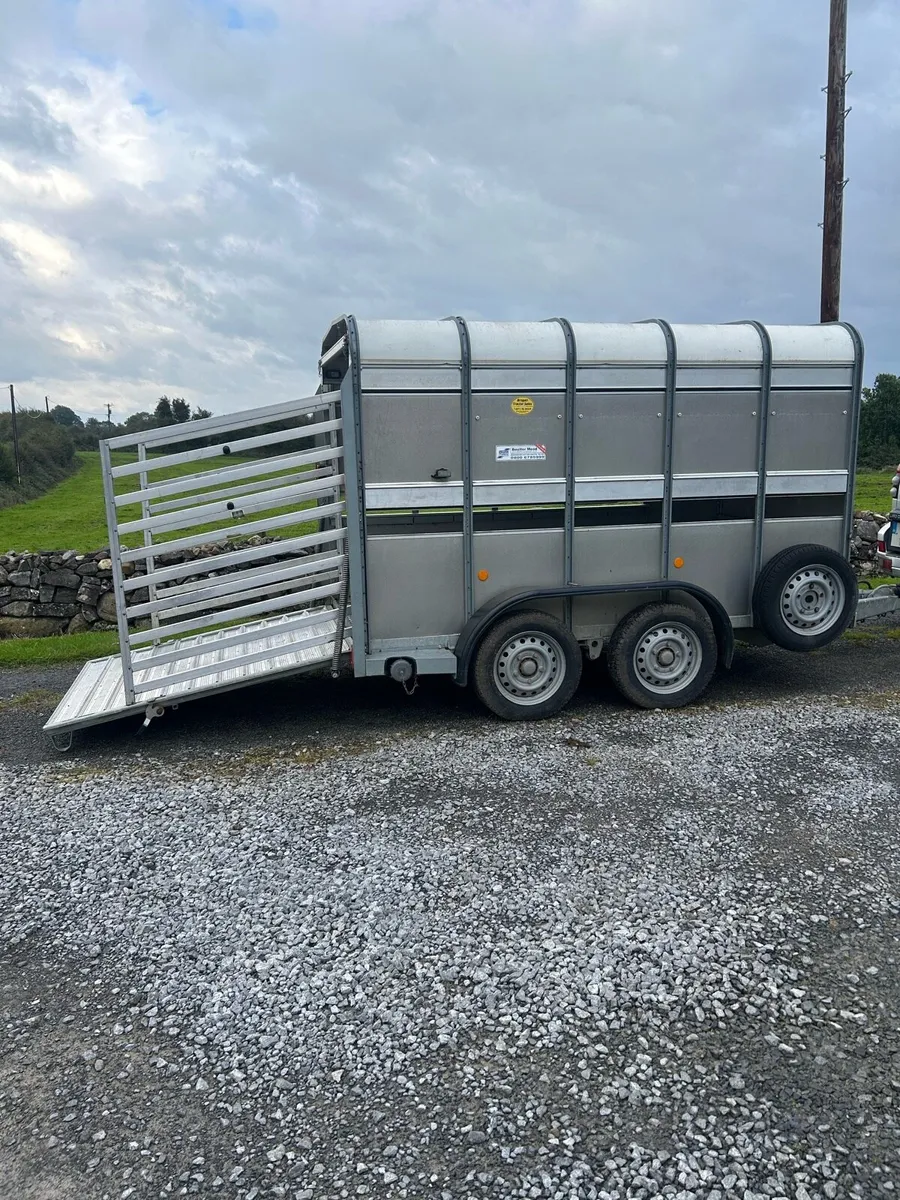 IFor Williams Trailer 10 FT x 5 FT - Image 2