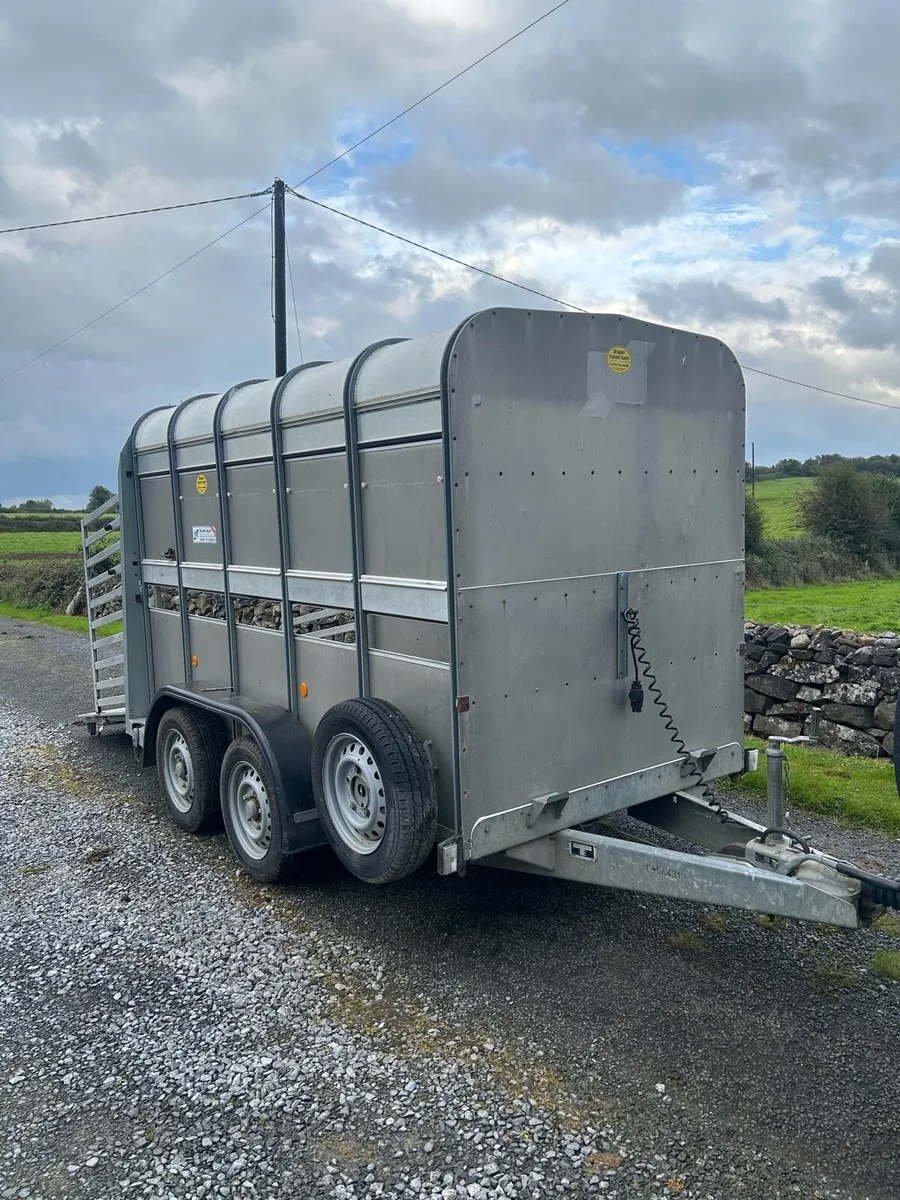 IFor Williams Trailer 10 FT x 5 FT - Image 4