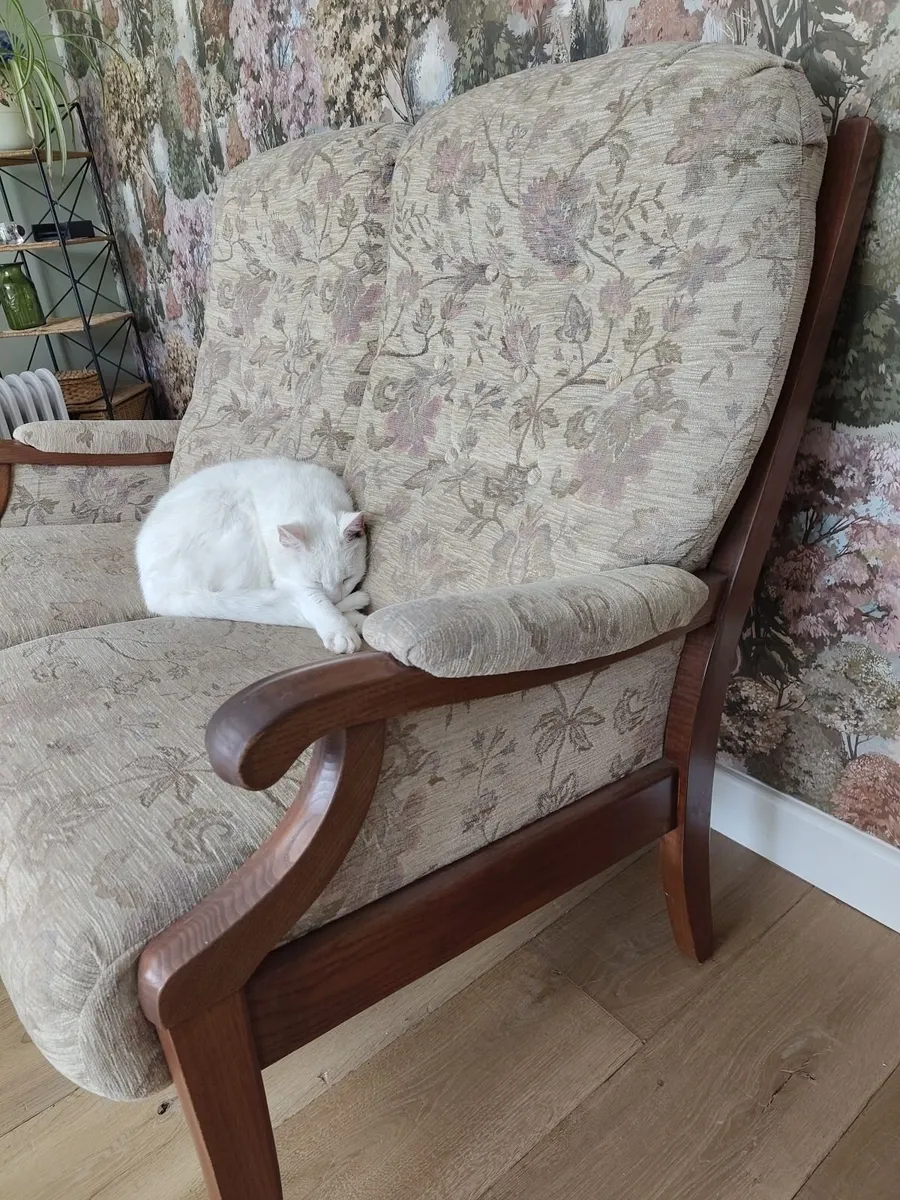 Single recliner and double couch set - Image 2
