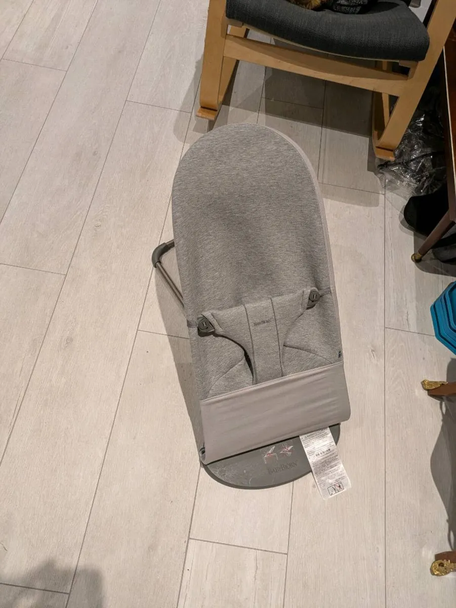 Babybjorn Bouncer - Image 1