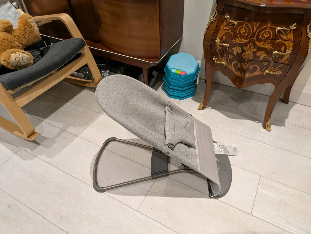 Babybjorn Bouncer - Image 2