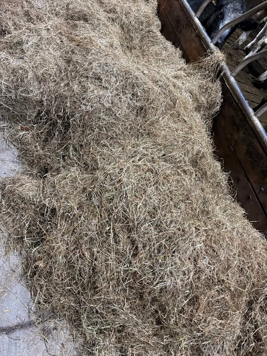 Silage - Image 3