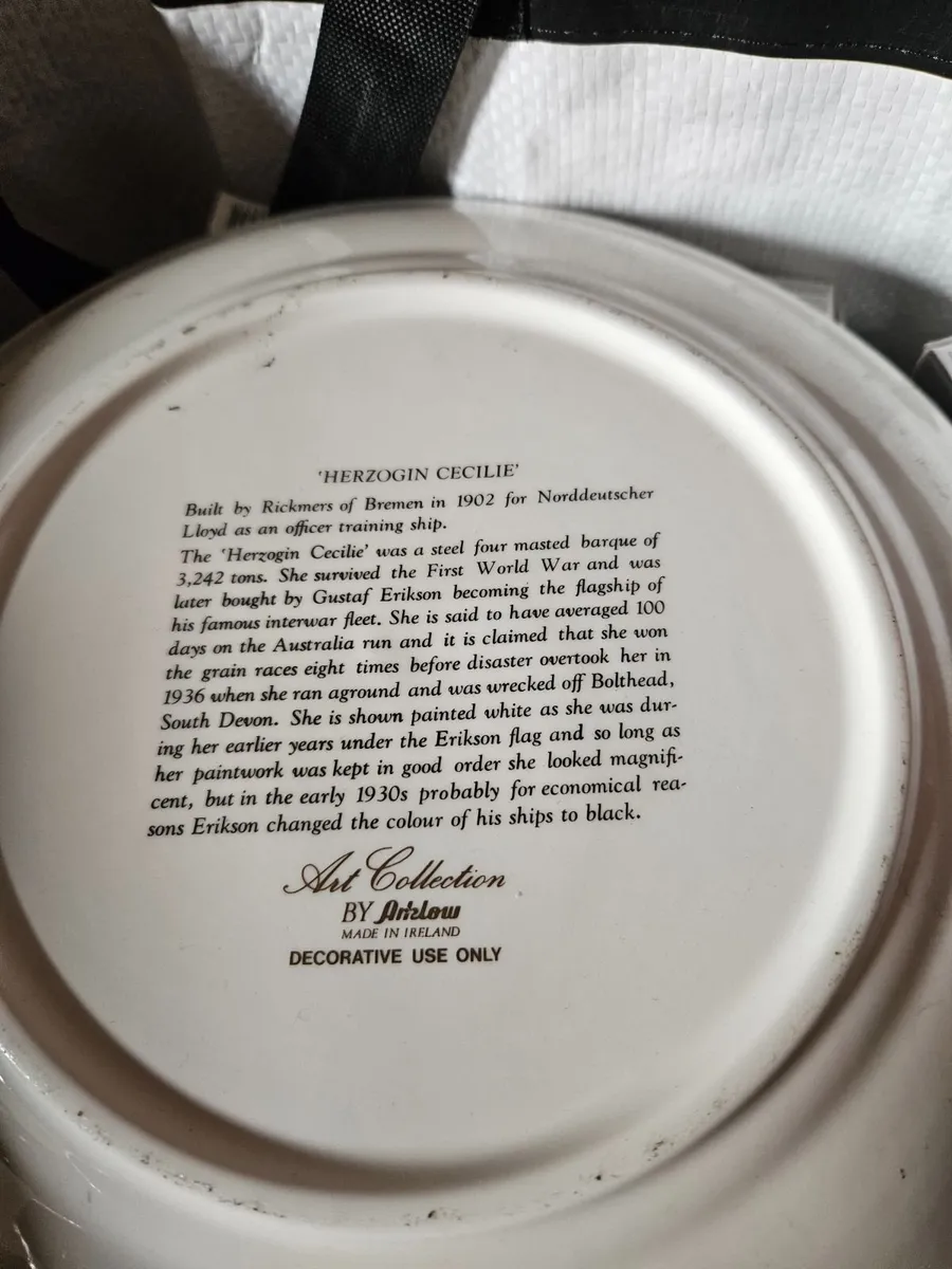 Vintage Arklow Pottery Plate - Image 2