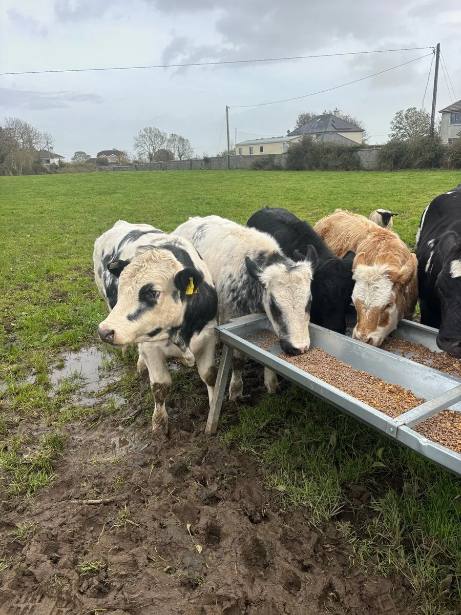 A.I. Weanlings - Image 1