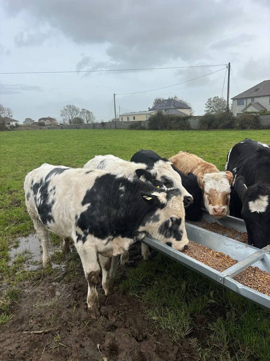 A.I. Weanlings - Image 2