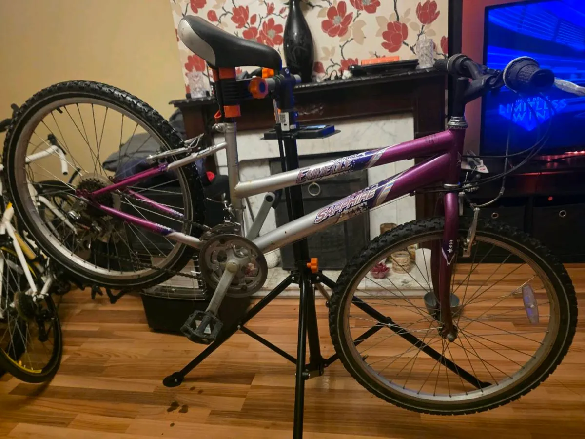 Emmelle Saphire 12 speed Girls Mountain Bike - Image 1