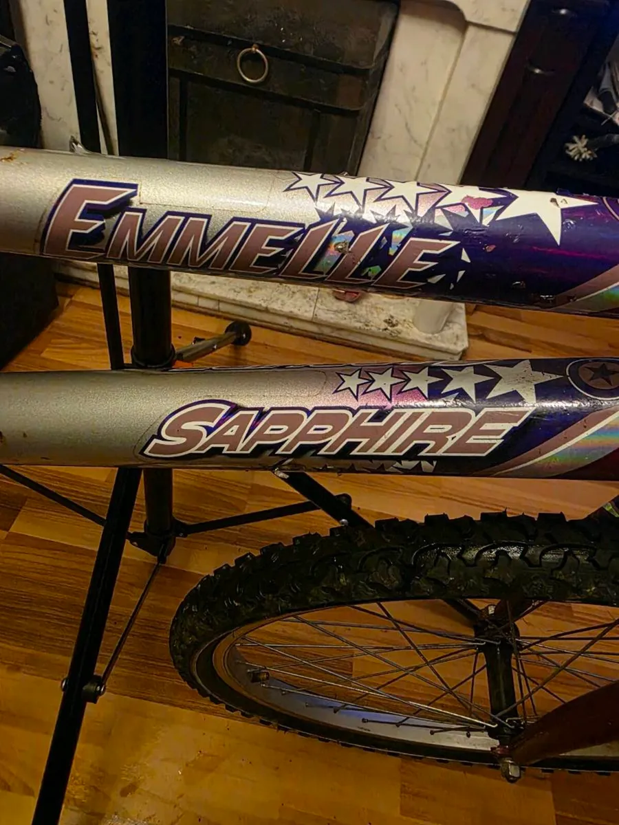 Emmelle Saphire 12 speed Girls Mountain Bike - Image 2