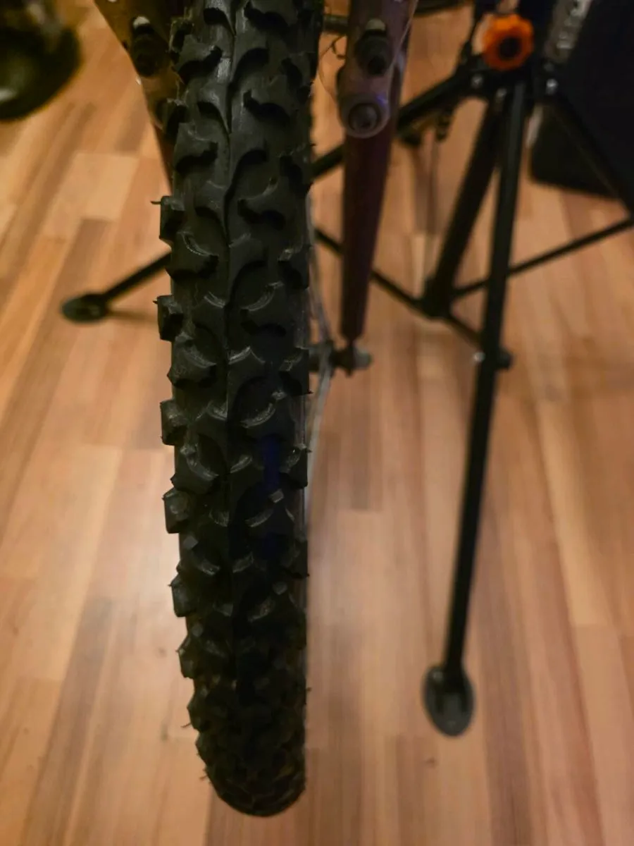 Emmelle Saphire 12 speed Girls Mountain Bike - Image 3