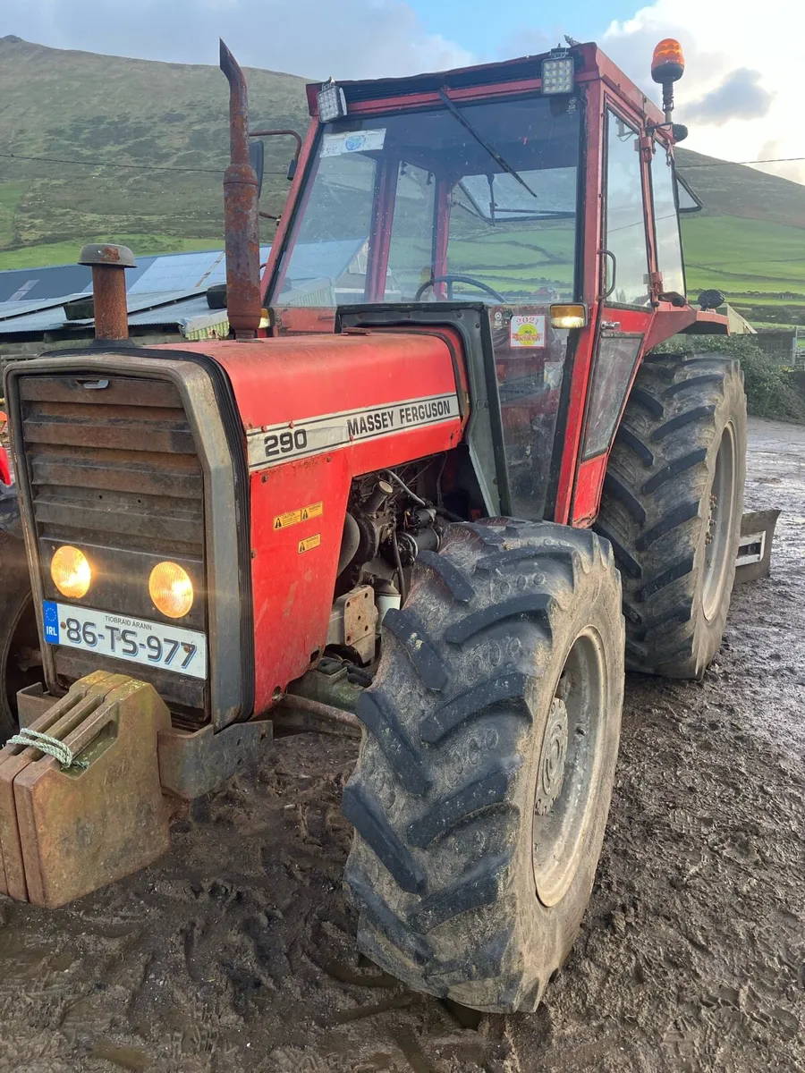 Massey Ferguson 290 - Image 1