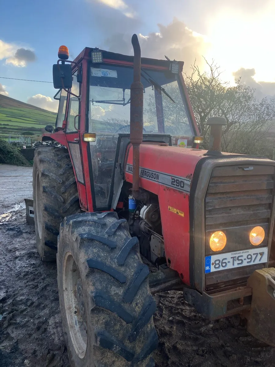 Massey Ferguson 290 - Image 2