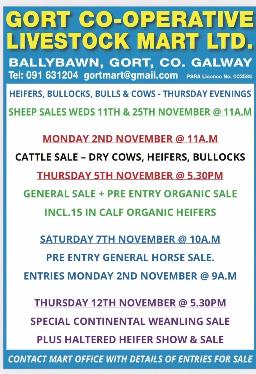 Gort Mart: Thursday 29th October : Entries - Image 1