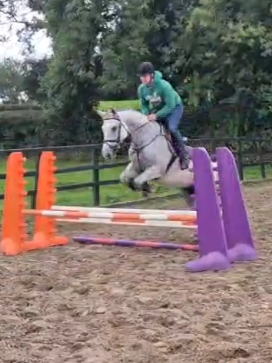 ISH Mare - All Rounder - Image 4
