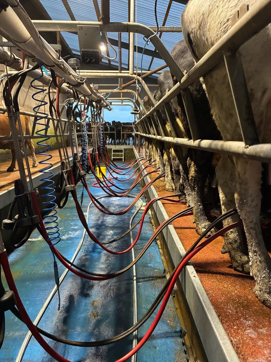 Milking parlour - Image 3